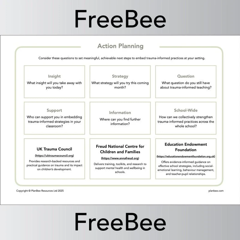 Trauma Informed Teaching Pack - Image 8