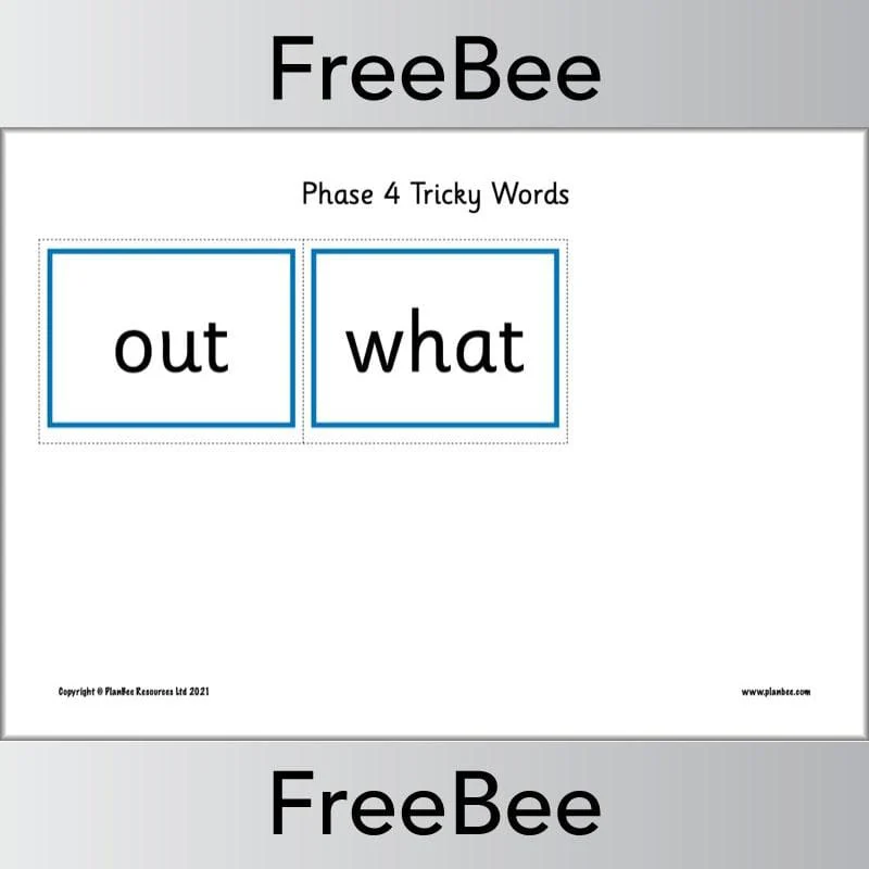 Tricky Words Flash Cards Pack - Image 6