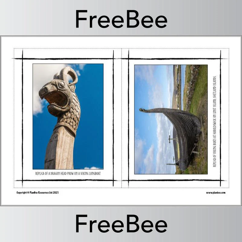 Viking Pictures