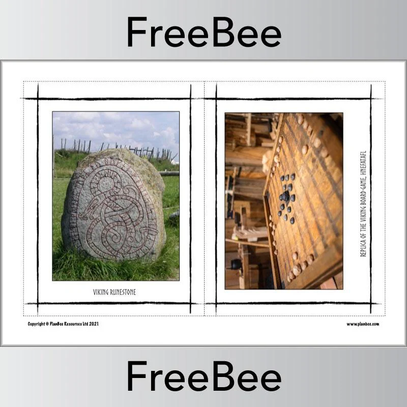 Viking Pictures - Image 8