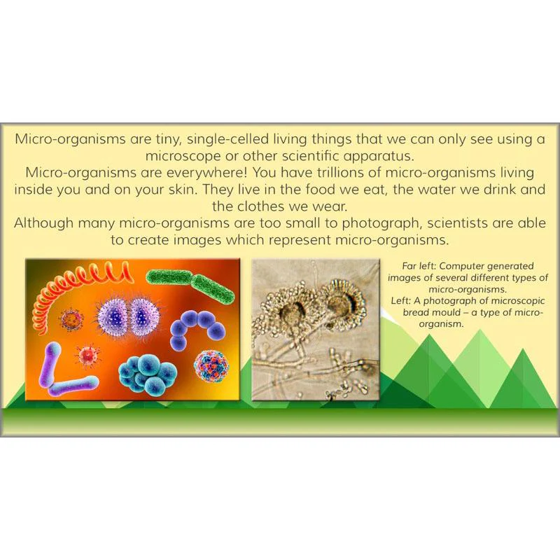Viking Science - Image 35