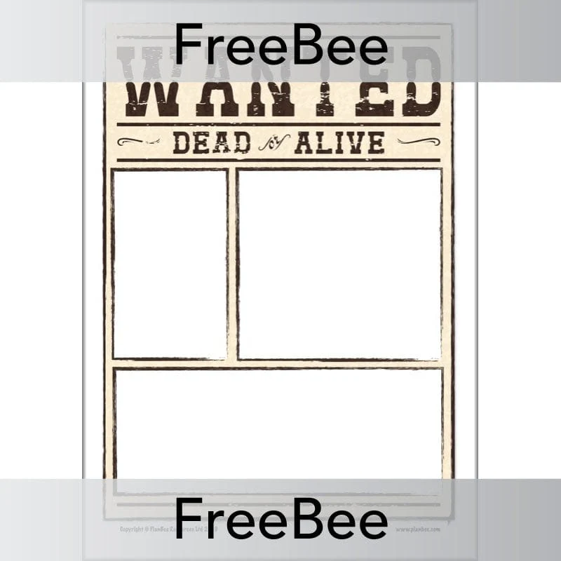 Wanted Poster Templates KS2 and KS1 - Image 7