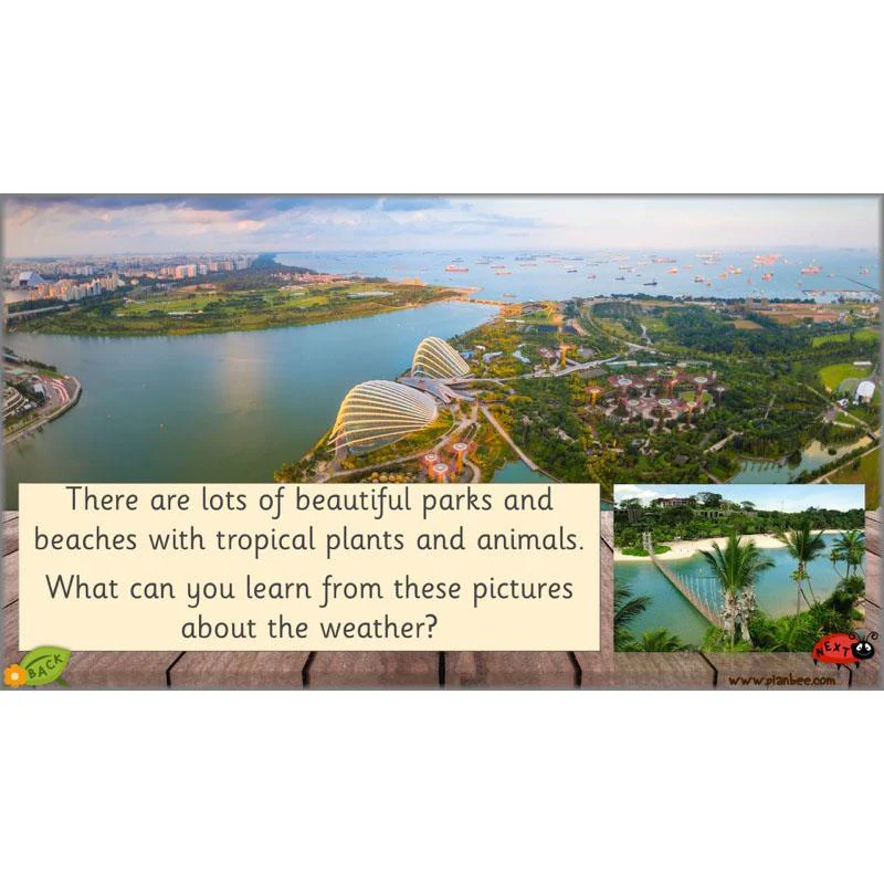 Weather Patterns - Image 47