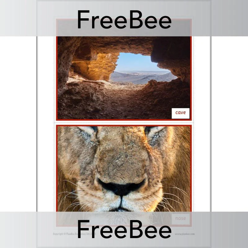 We're Going on a Lion Hunt Display Pack - Image 10