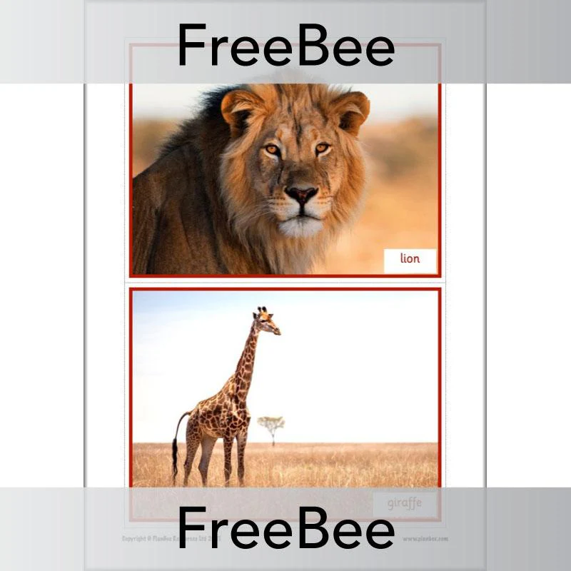 We're Going on a Lion Hunt Display Pack - Image 3