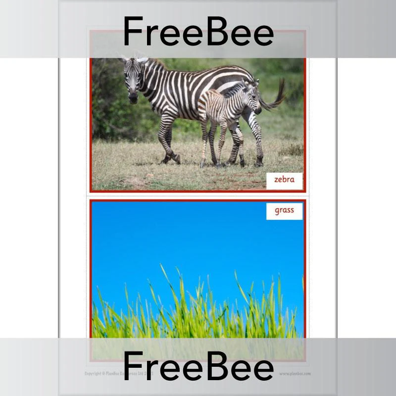 We're Going on a Lion Hunt Display Pack - Image 7