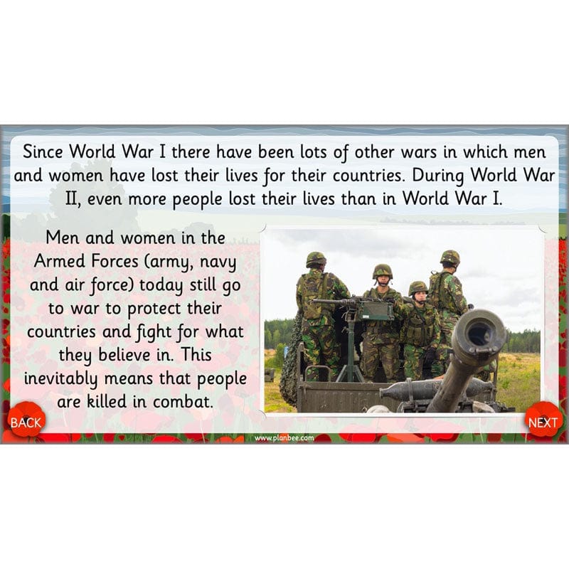 What are we remembering on Remembrance Day? - Image 11