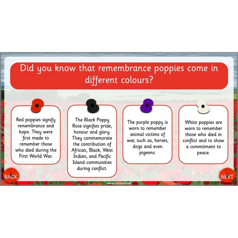 What are we remembering on Remembrance Day? - Image 24