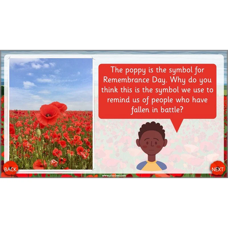 What are we remembering on Remembrance Day? - Image 32