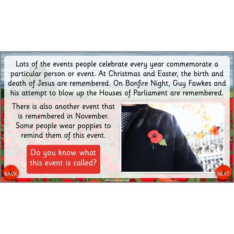 What are we remembering on Remembrance Day? - Image 4