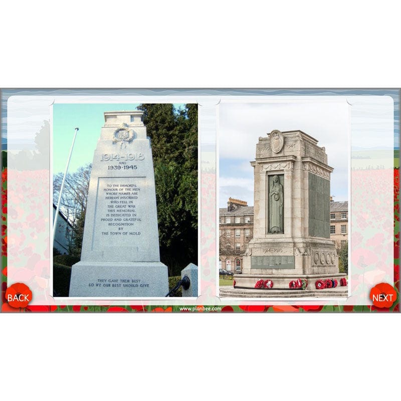 What are we remembering on Remembrance Day? - Image 40