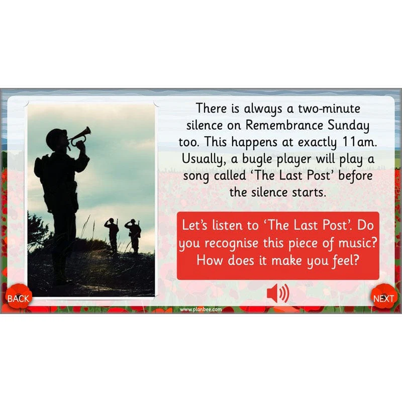 What are we remembering on Remembrance Day? - Image 46