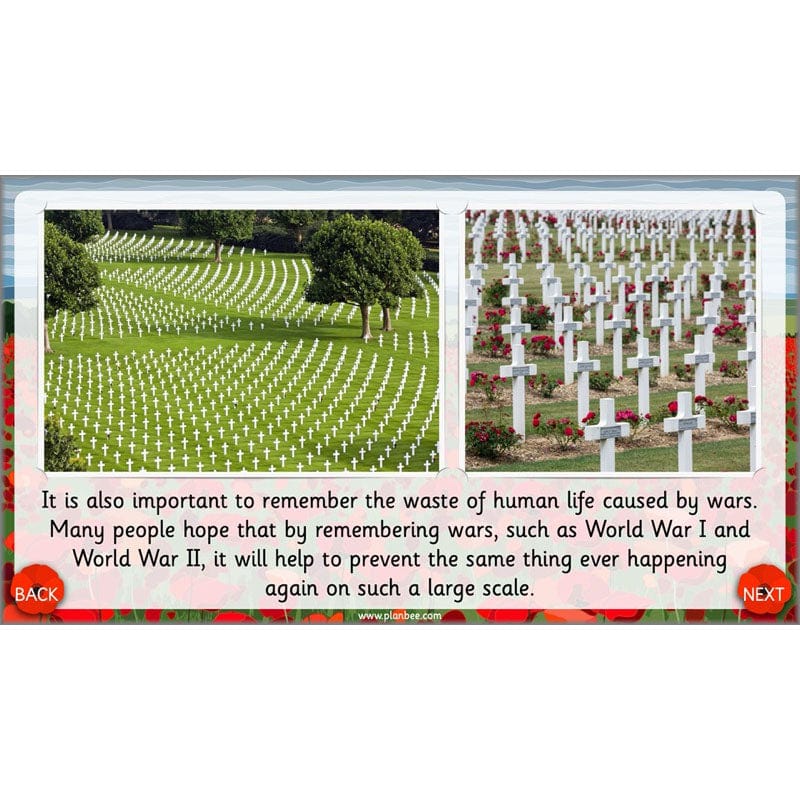 What are we remembering on Remembrance Day? - Image 53