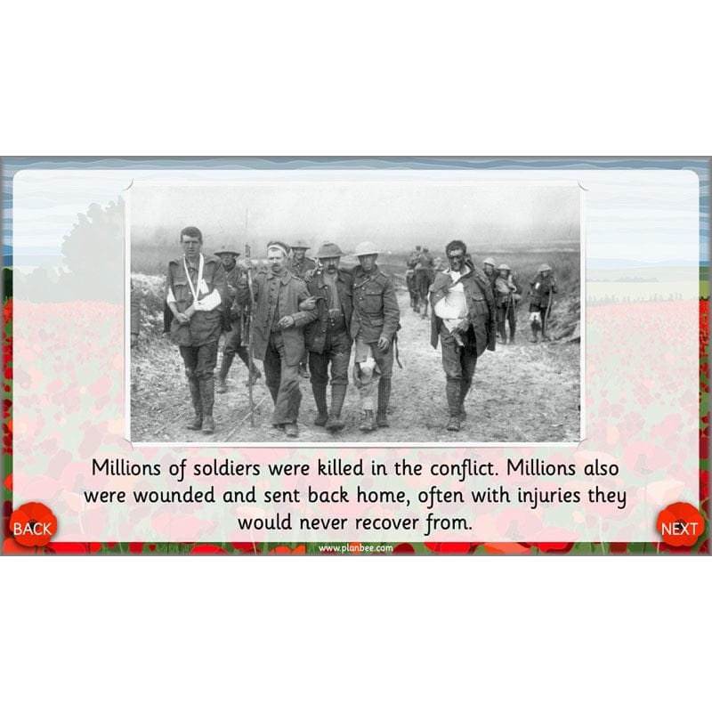 What are we remembering on Remembrance Day? - Image 6