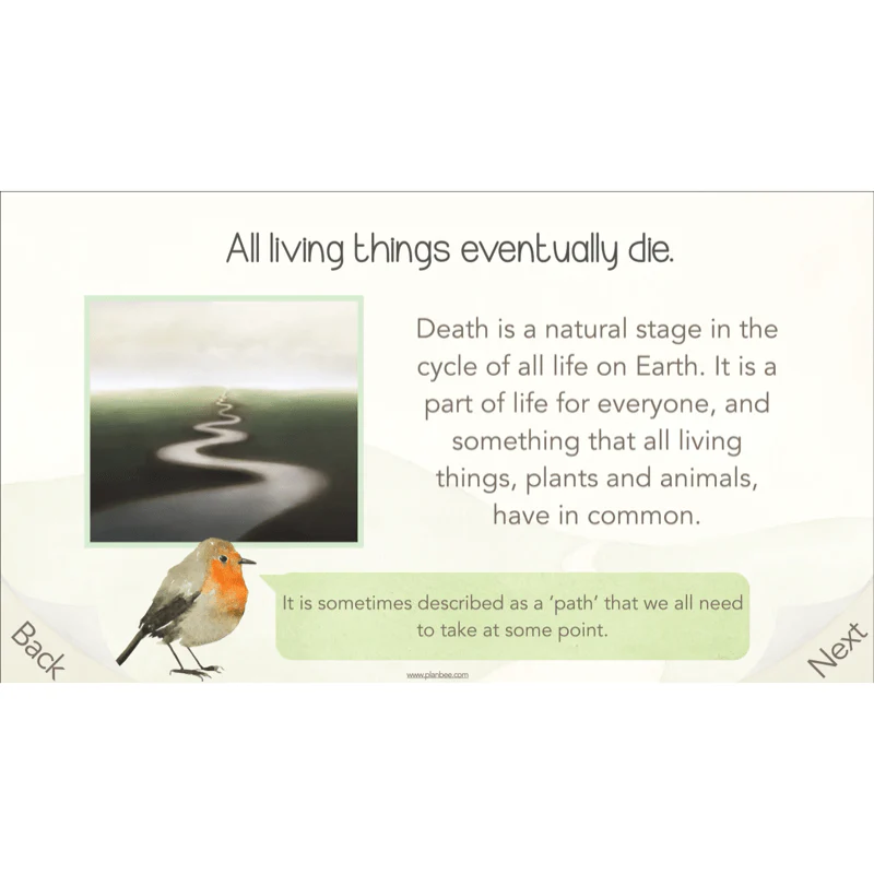 What happens when we die? - Image 30