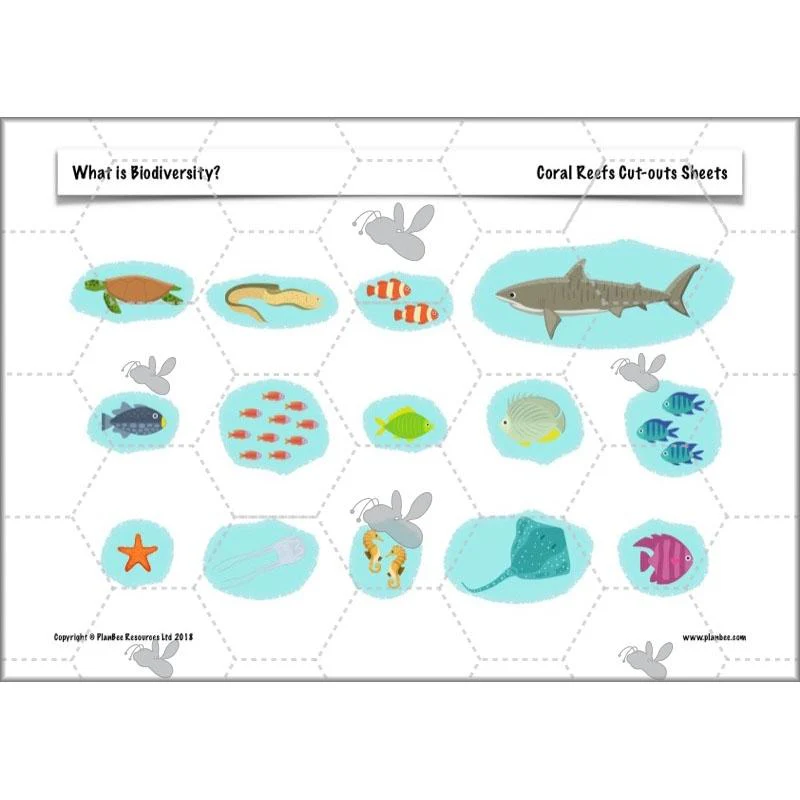 What is Biodiversity? - Image 11