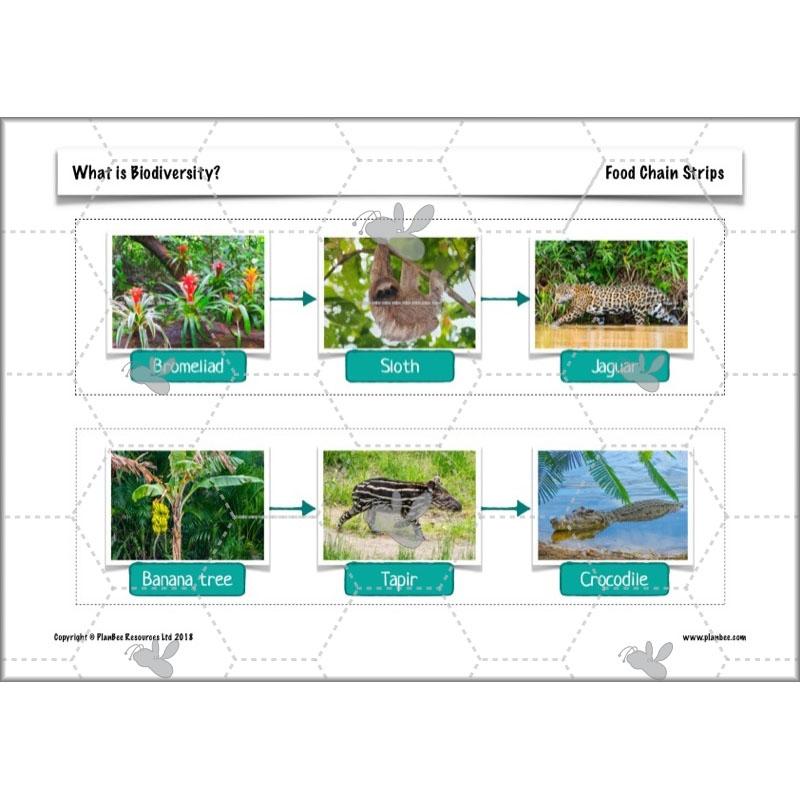 What is Biodiversity? - Image 12