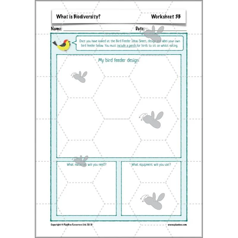 What is Biodiversity? - Image 13