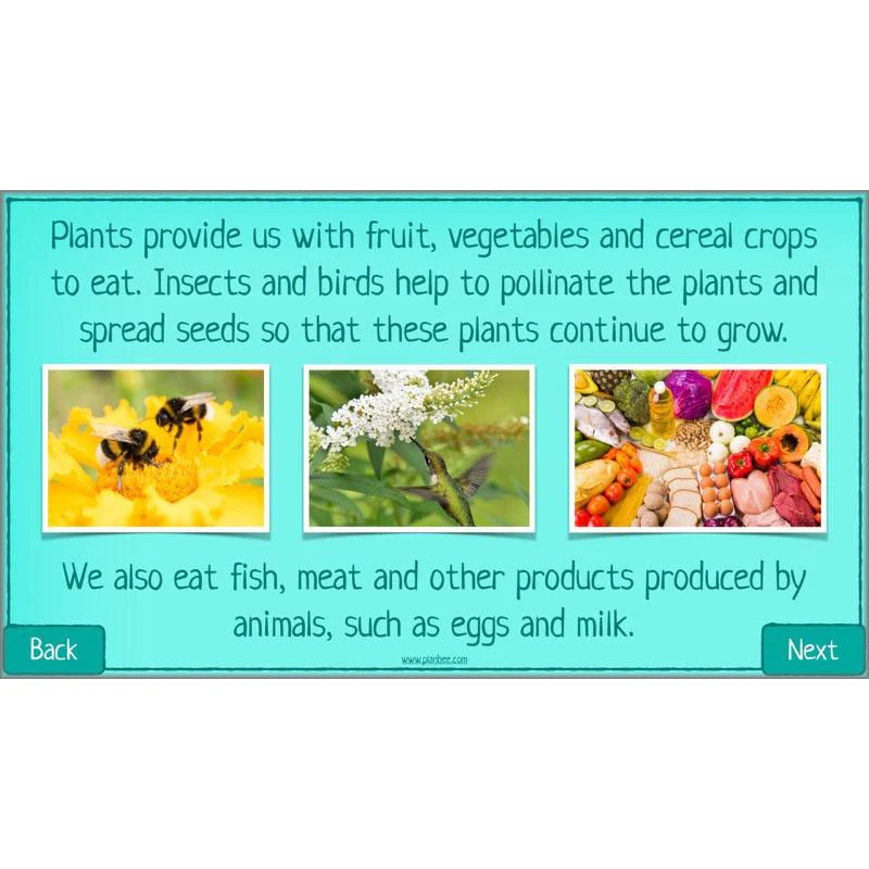 What is Biodiversity? - Image 17