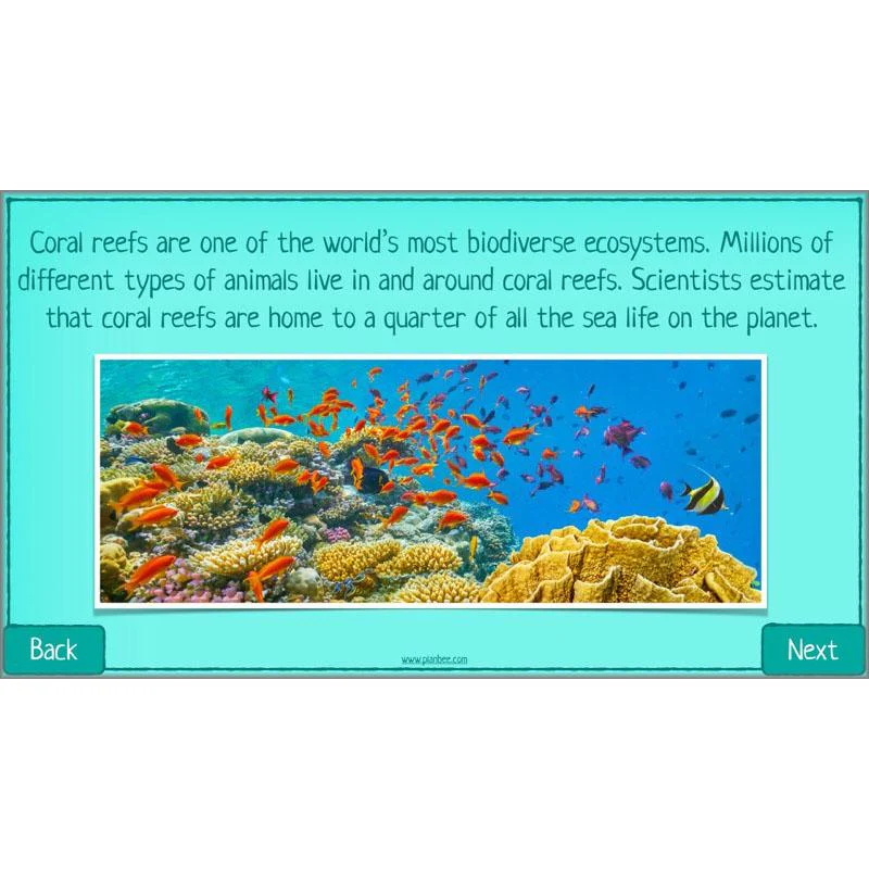 What is Biodiversity? - Image 19