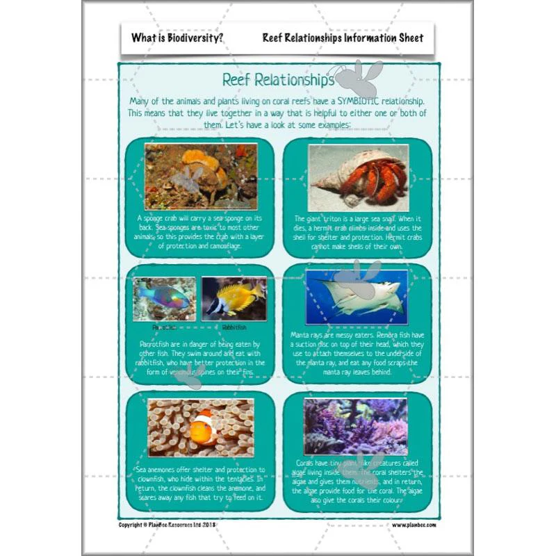 What is Biodiversity? - Image 22