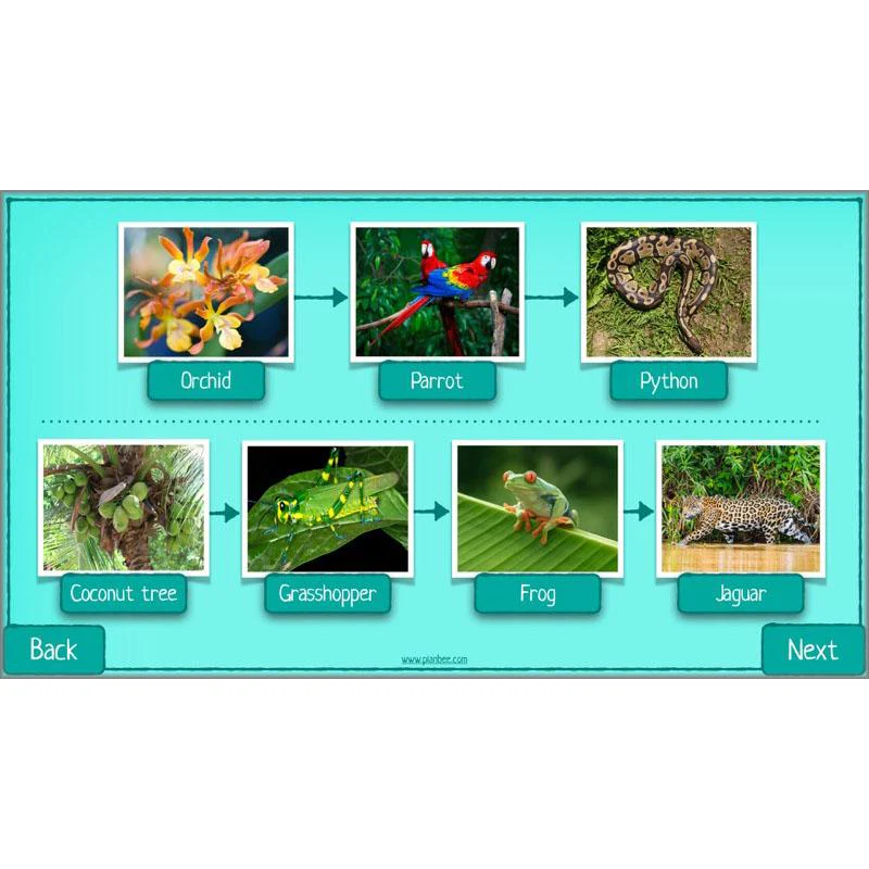 What is Biodiversity? - Image 24