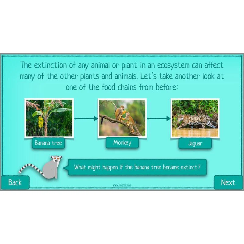 What is Biodiversity? - Image 25