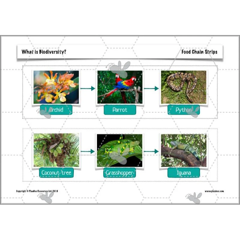 What is Biodiversity? - Image 28