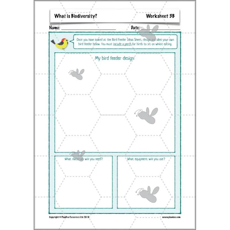 What is Biodiversity? - Image 37