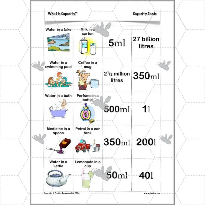 What is Capacity? - Image 33