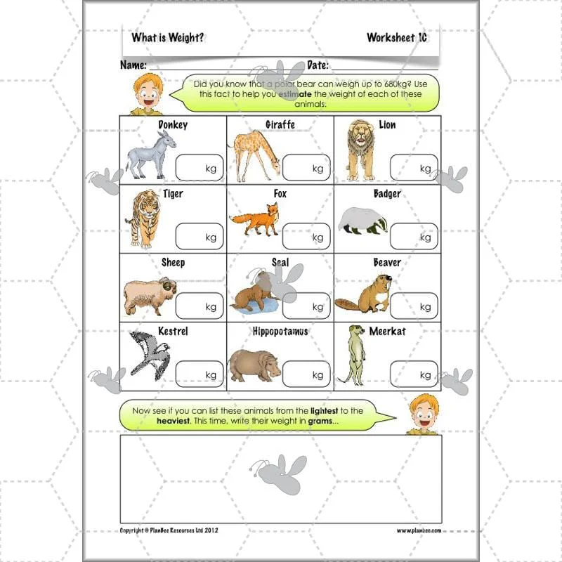 What is Weight? - Image 28