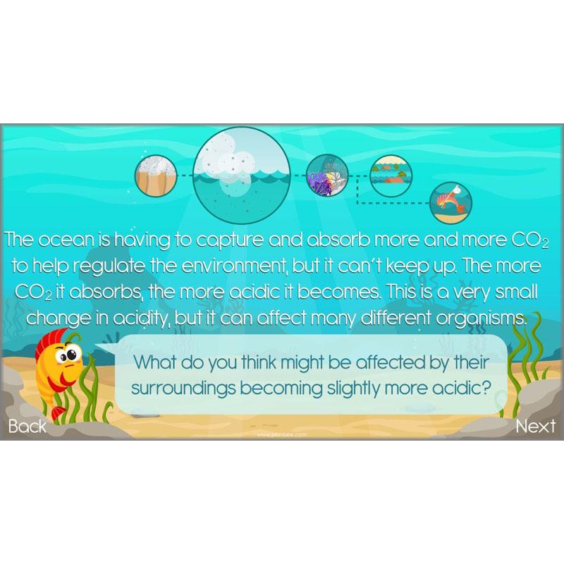 What the Ocean Gives Us - Image 32