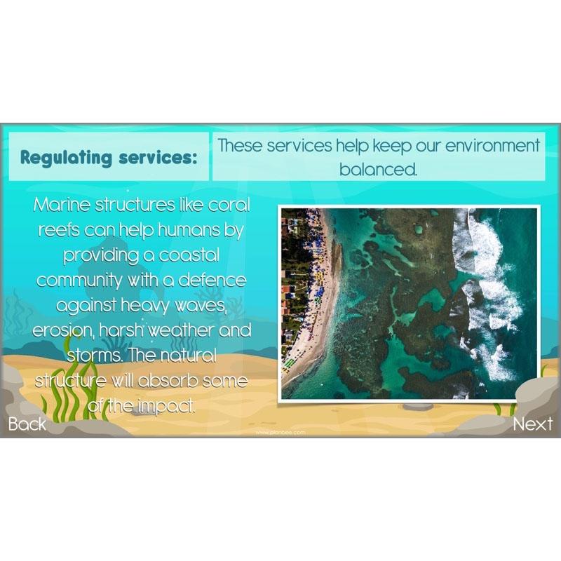 What the Ocean Gives Us - Image 7