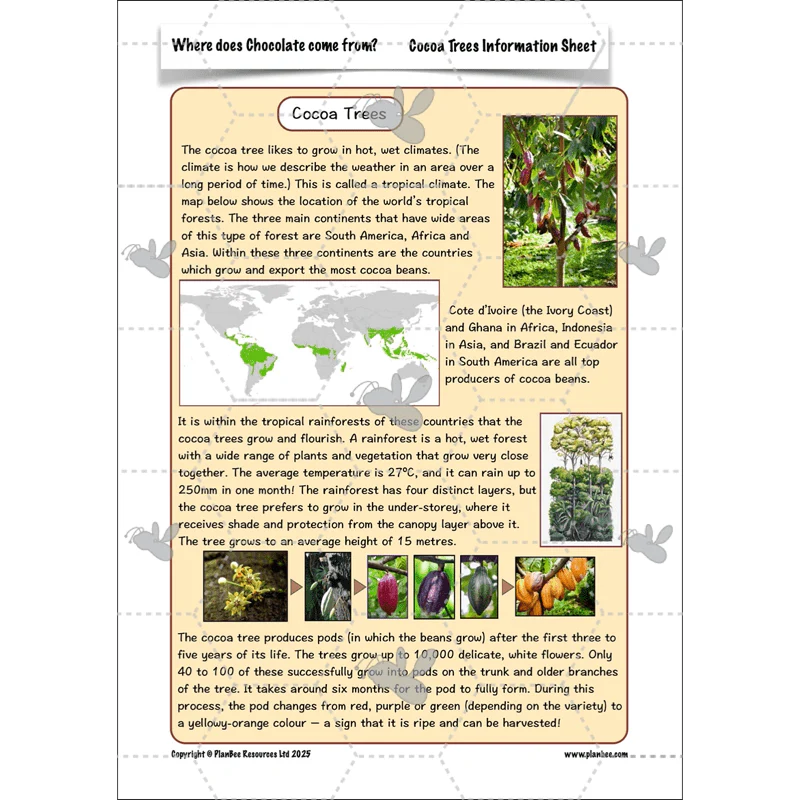 Where does Chocolate come from? - Image 27