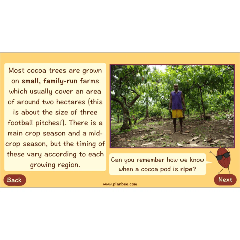 Where does Chocolate come from? - Image 29