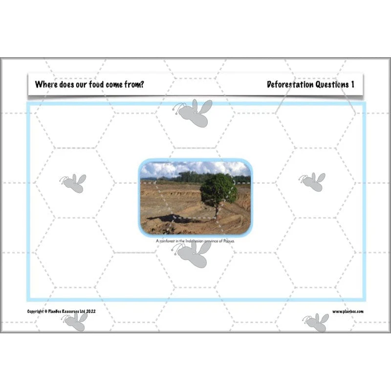 Where does our food come from? - Image 13