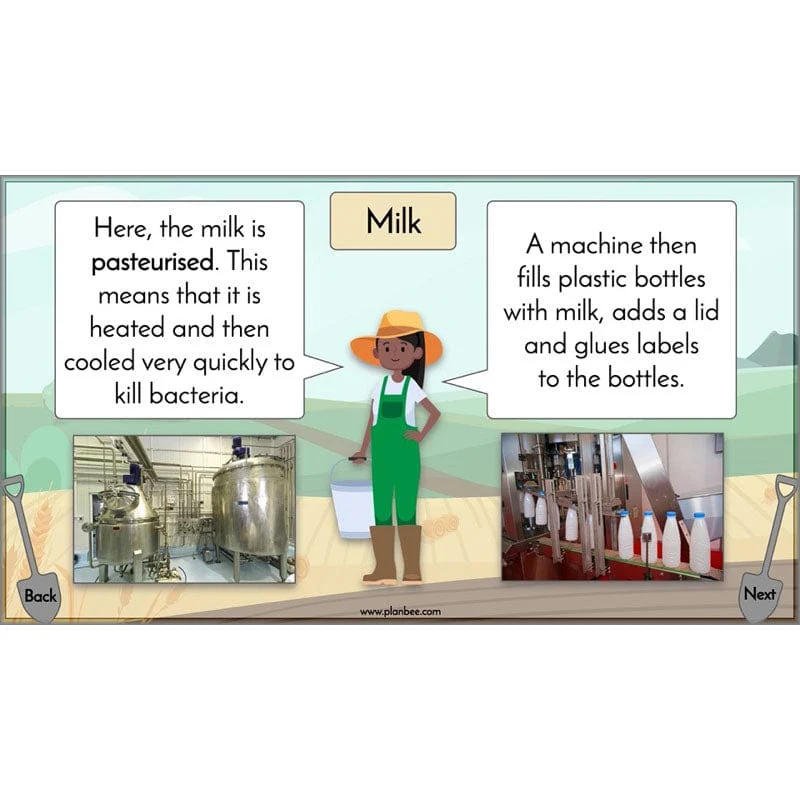 Where does our food come from? - Image 21
