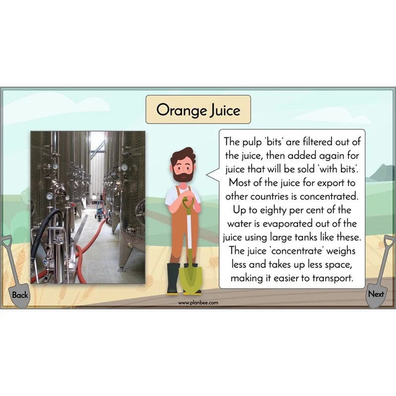 Where does our food come from? - Image 3