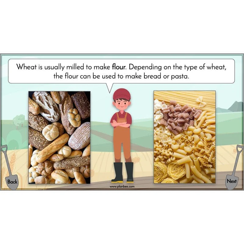 Where does our food come from? - Image 31