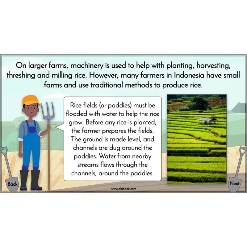 Where does our food come from? - Image 45