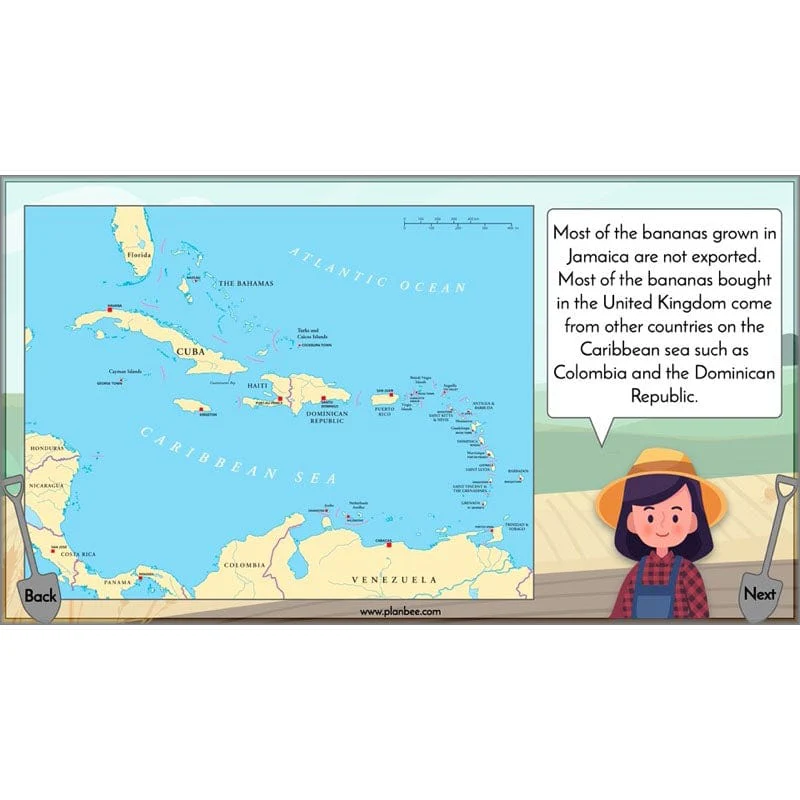 Where does our food come from? - Image 5