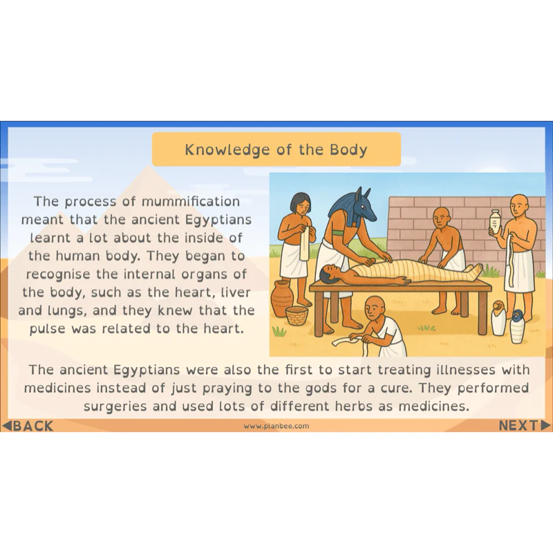 Who were the Ancient Egyptians? - Image 78