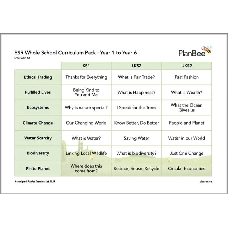 Whole School ESR Curriculum Pack - Image 3