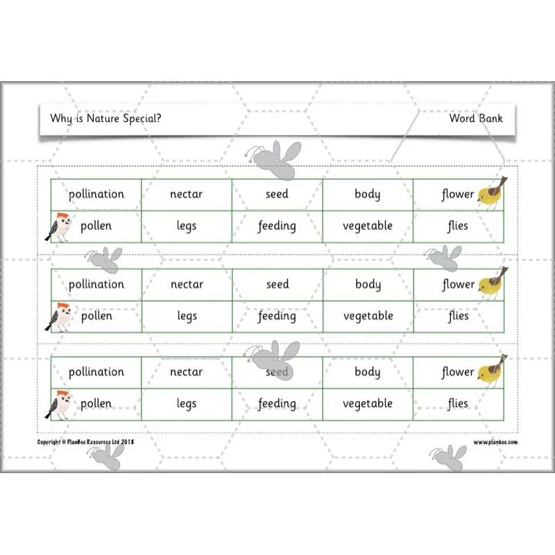 Why is Nature Special - Image 13
