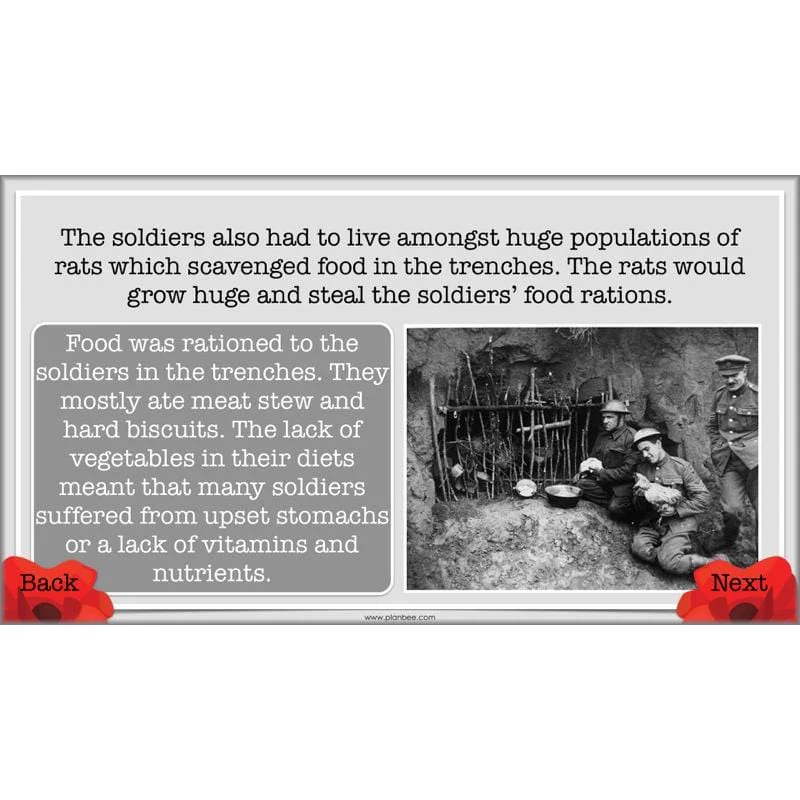 World War 1 - Image 36