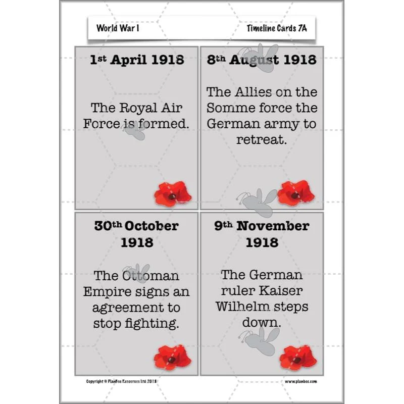 World War 1 - Image 79