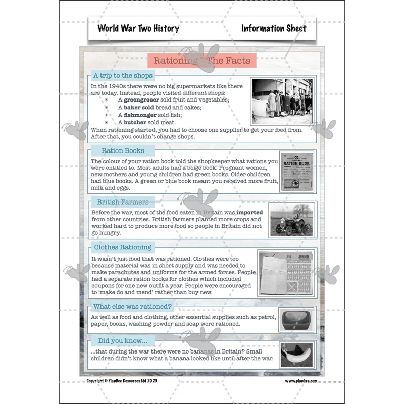 World War 2 Lower KS2 - Image 19