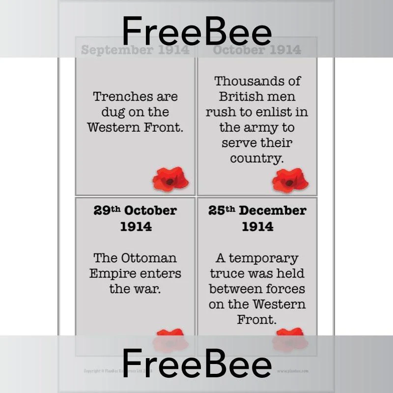 World War 1 Timeline Cards - Image 3