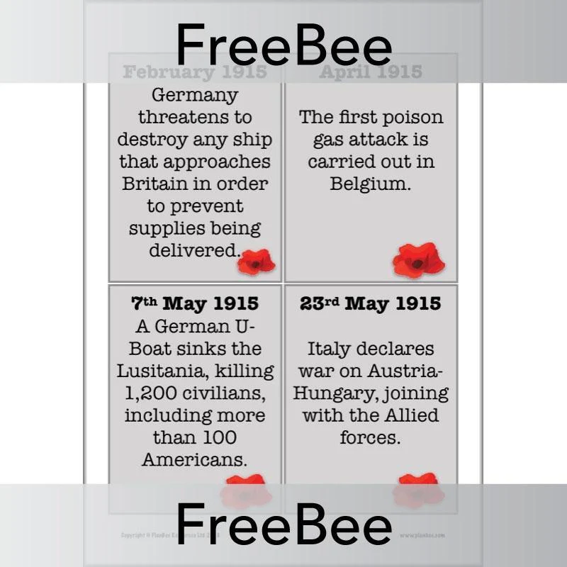 World War 1 Timeline Cards - Image 4
