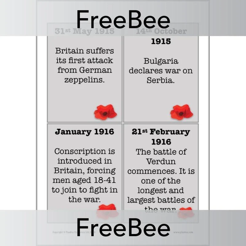 World War 1 Timeline Cards - Image 5